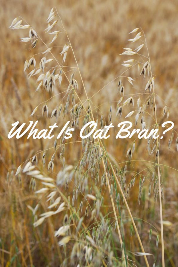 what is oat bran