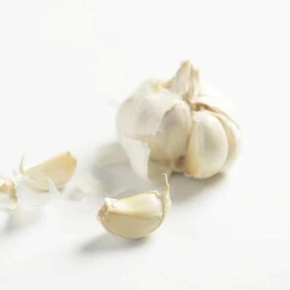 white garlic sauce for pasta recipes