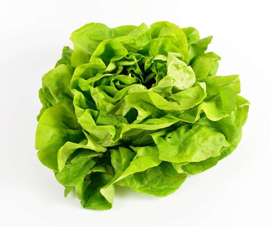 best way to store salad greens fresh lettuce