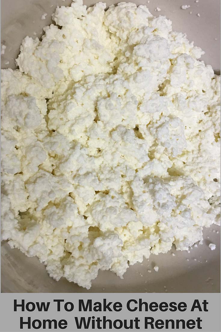 homemade cheese recipe without rennet
