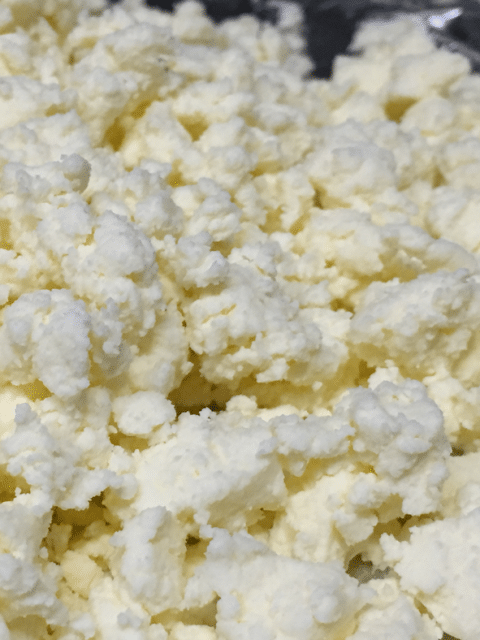 homemade cheese without rennet