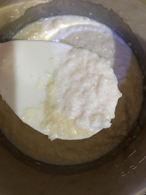 instant pot rice pudding recipe