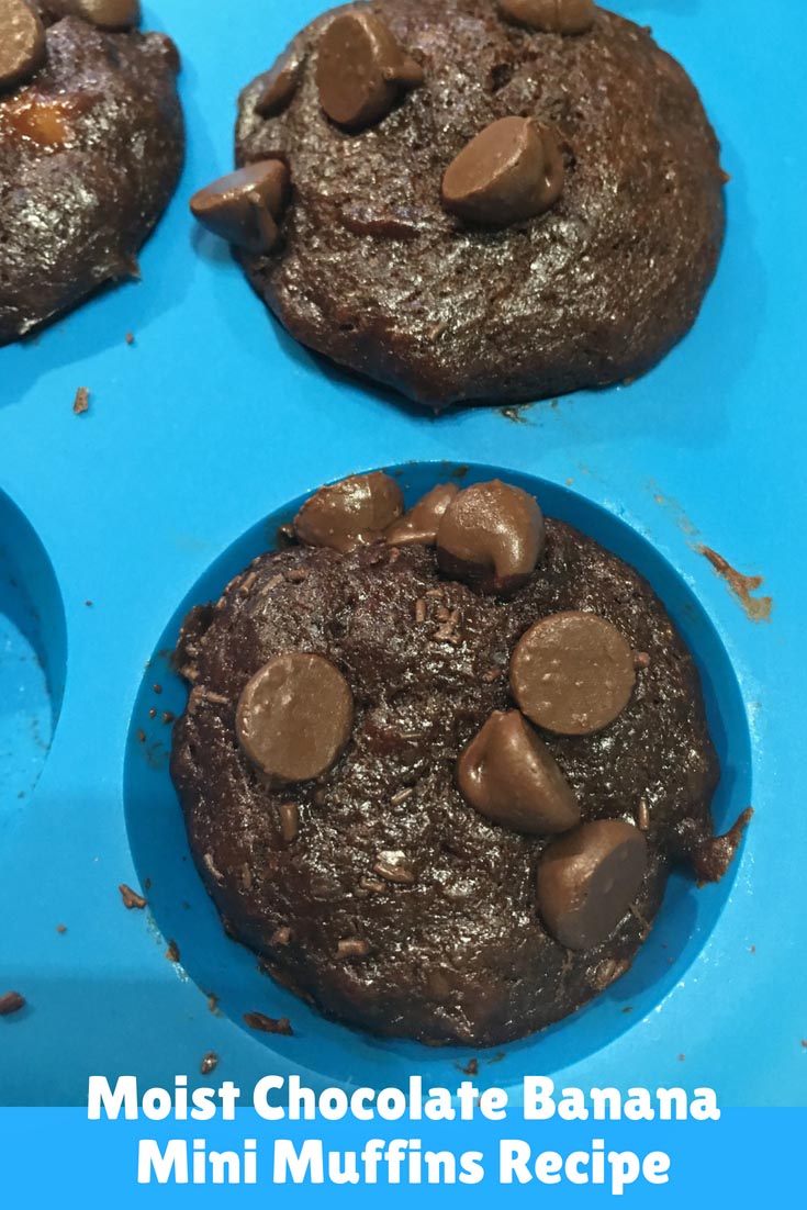 chocolate banana muffins recipe