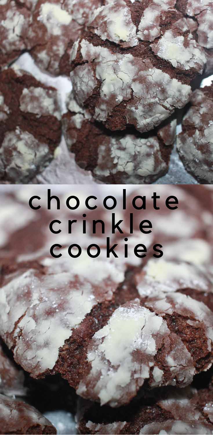 chocolate crinkle cookies for christmas