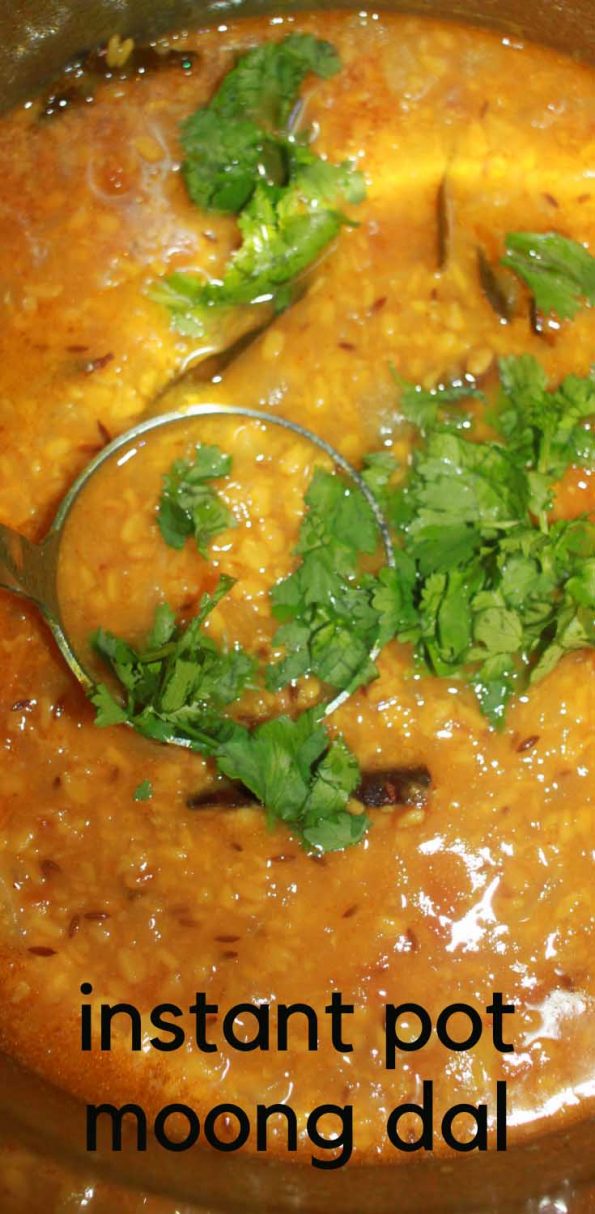 instant pot moong dal curry recipe