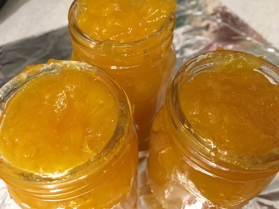 instant pot mango jam in jars