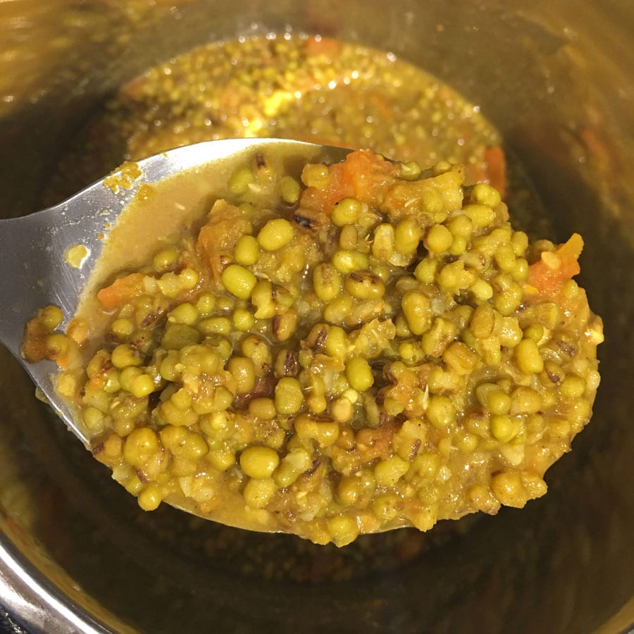 mung bean curry instant pot