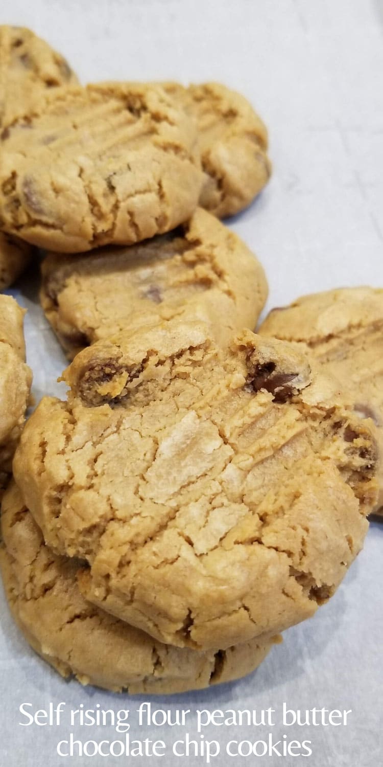 self rising flour peanut butter cookies with chocolate chips