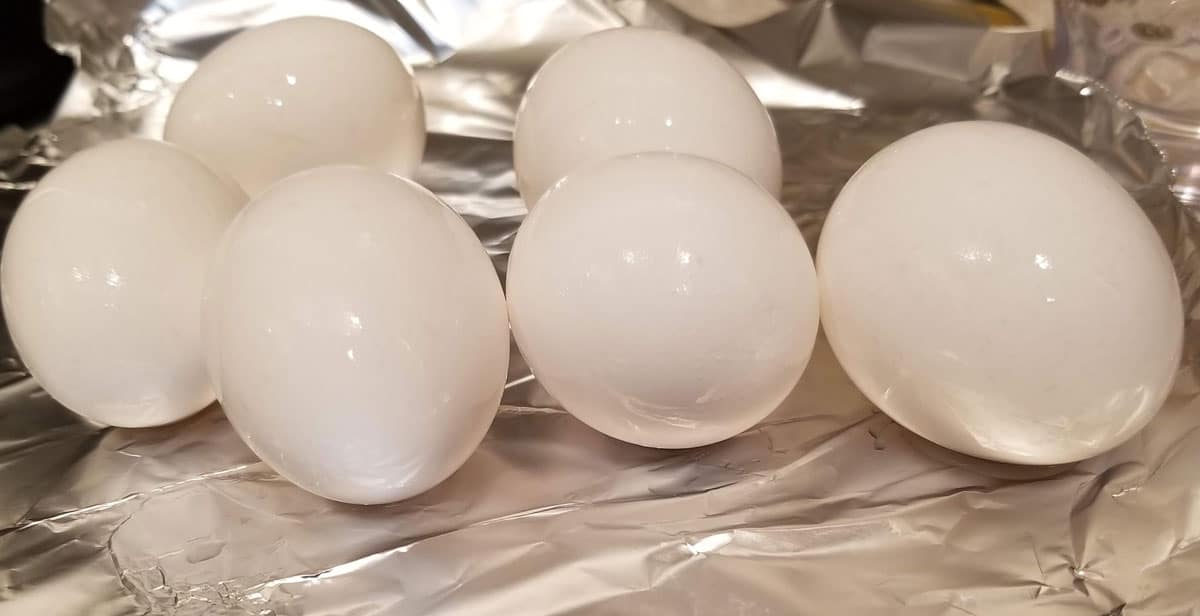 large white eggs