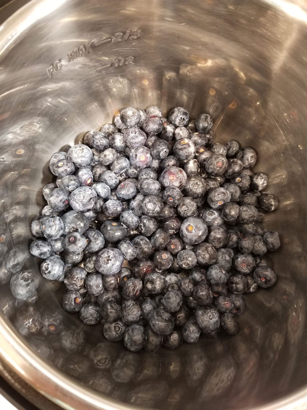 blueberries in instant pot