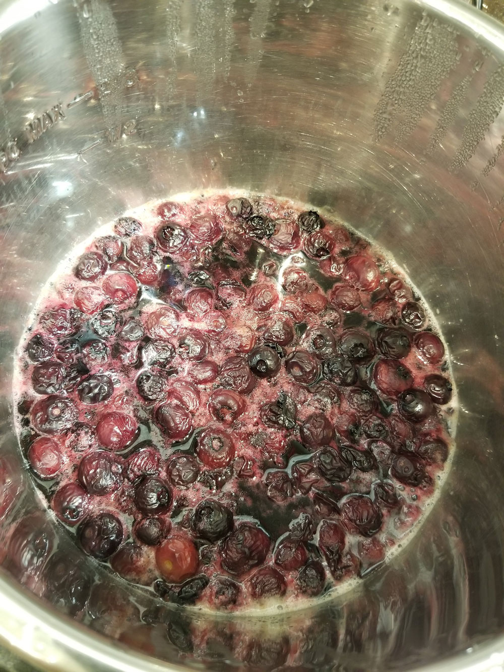 cooked blueberries