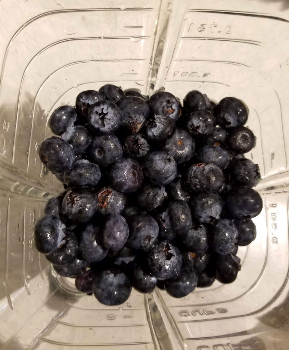 blueberries in blender
