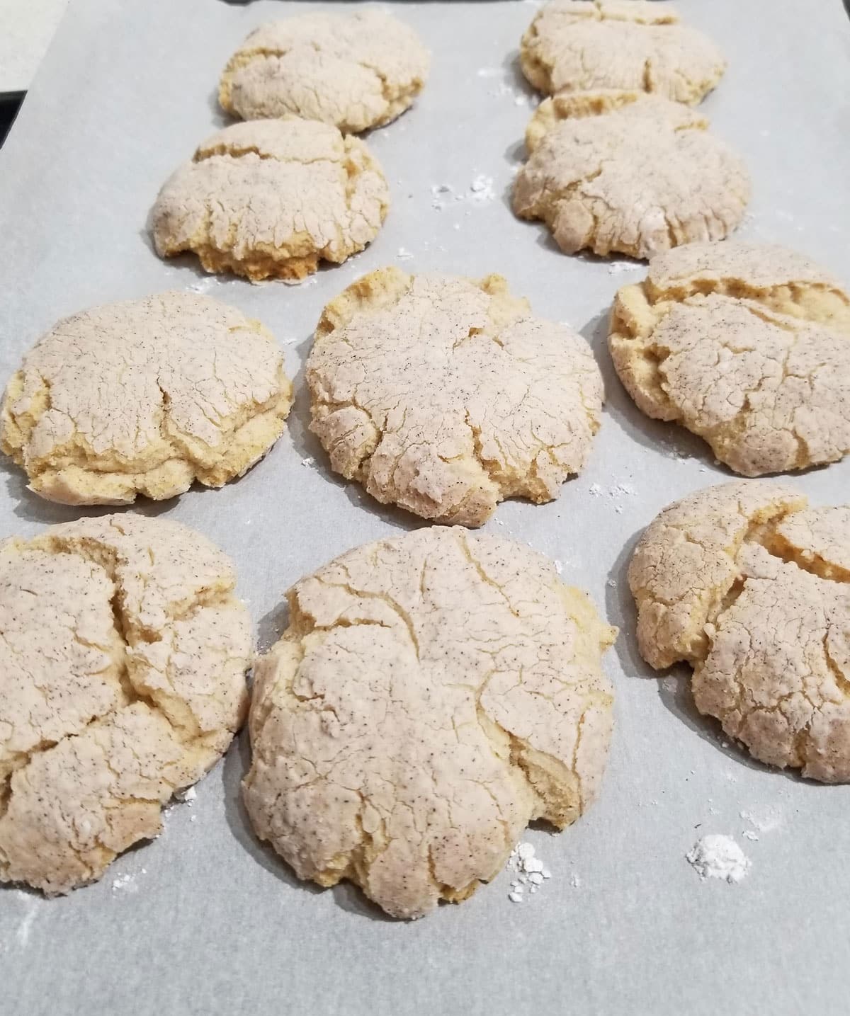 cinnamon vanilla crinkle cookies