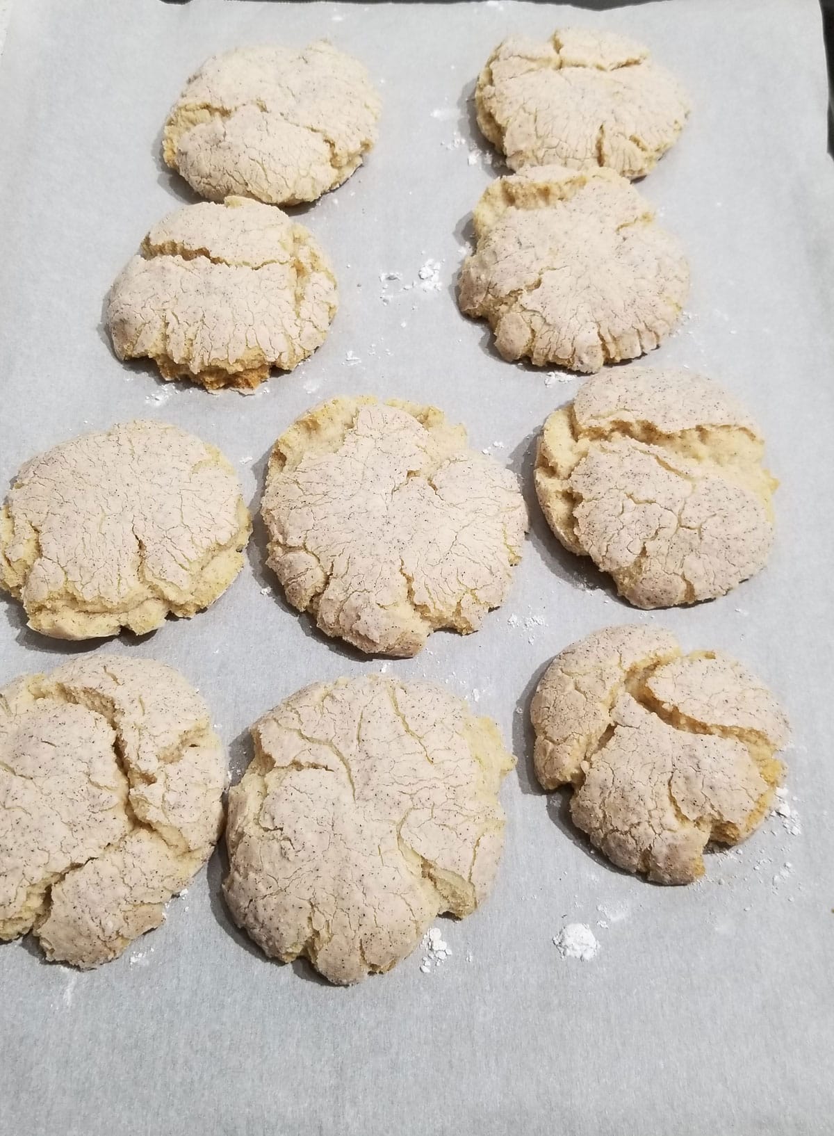 crinkle cookies vanilla cinnamon
