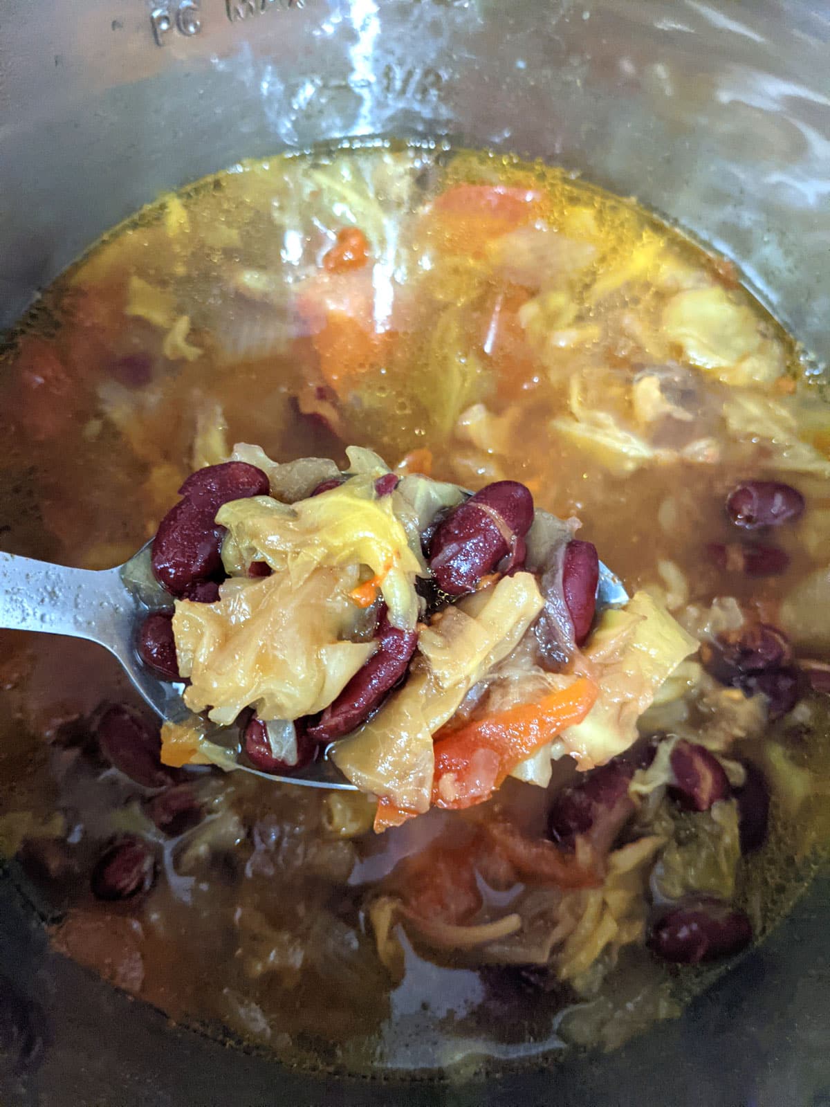 dark red kidney bean cabbage soup in instant pot