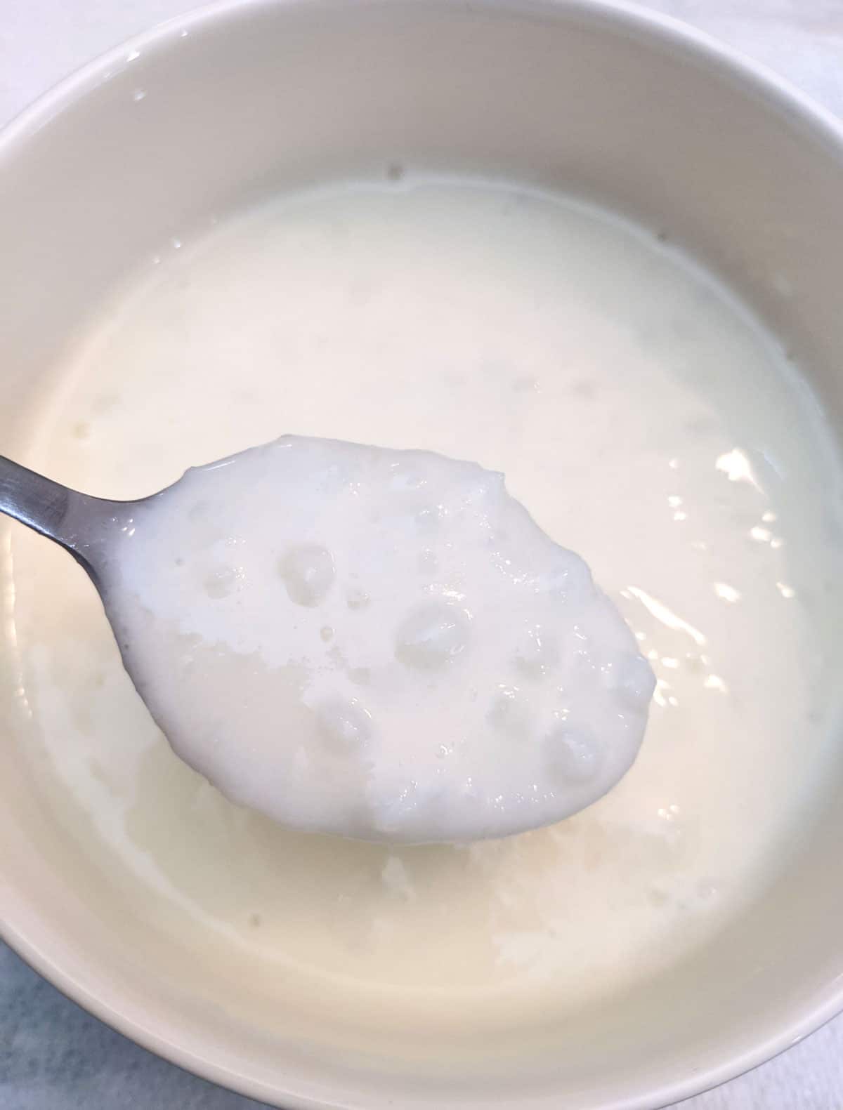 tapioca pearl pudding