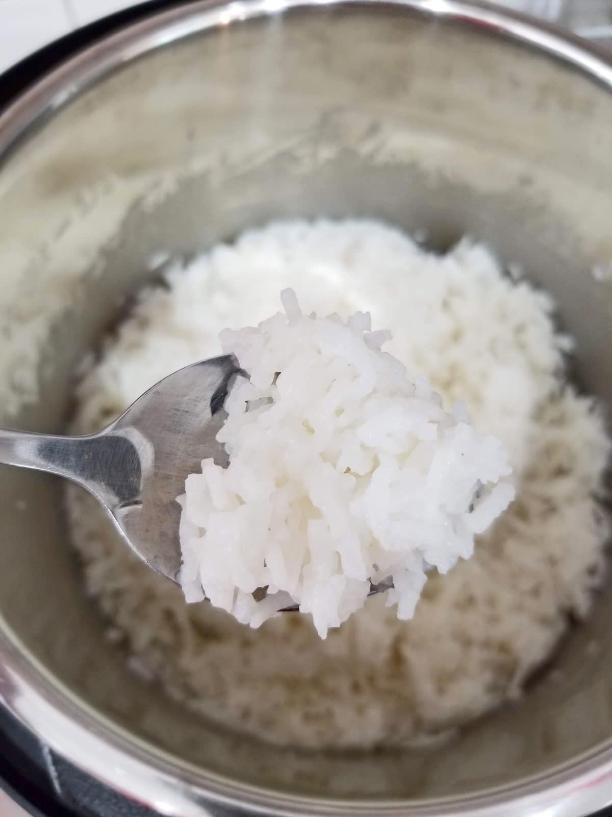 coconut milk rice