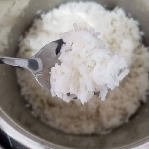 coconut milk rice in instant pot