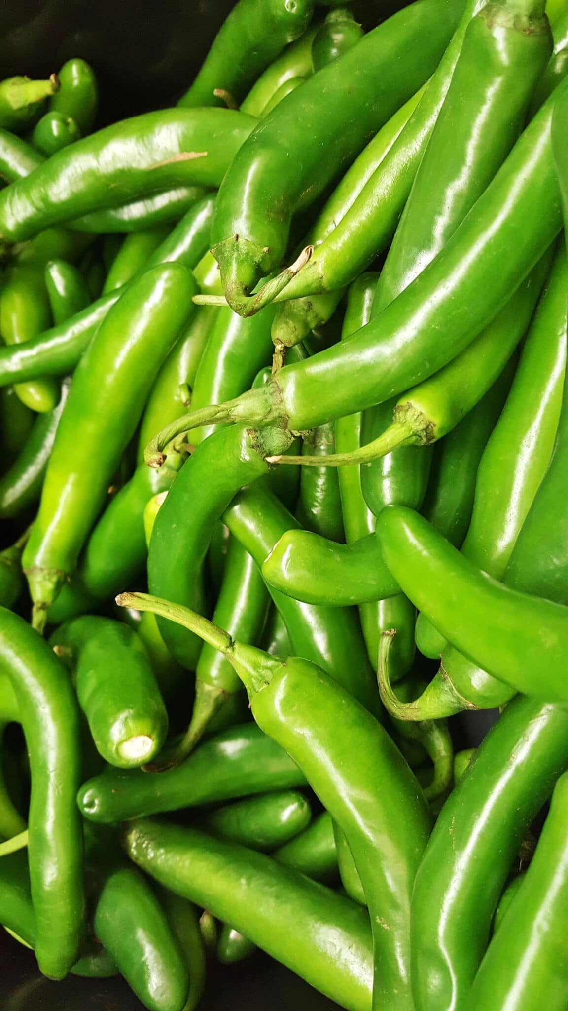 green chilies serrano peppers