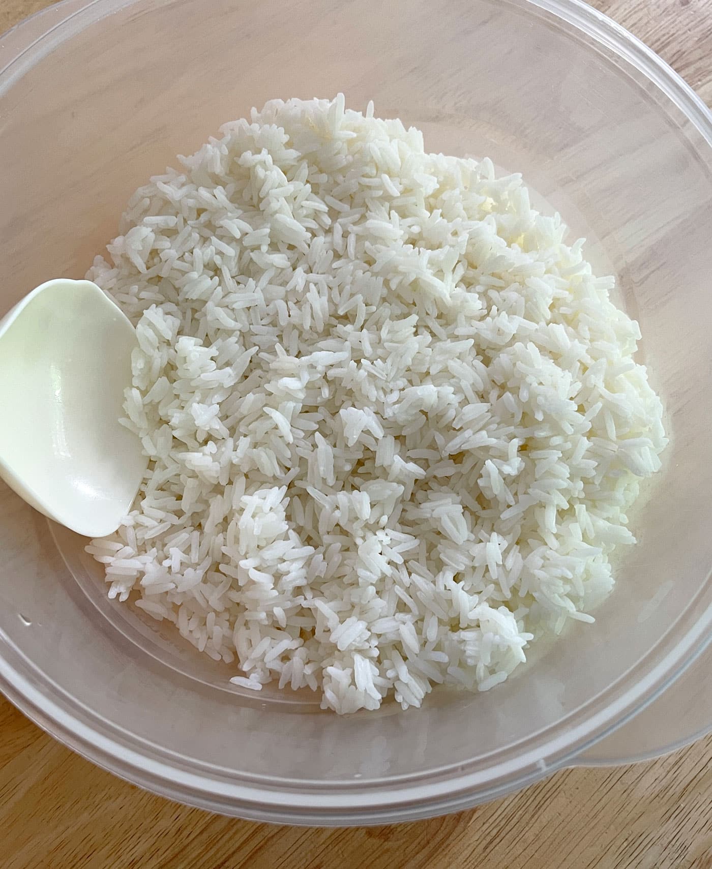 white jasmine rice on stove top