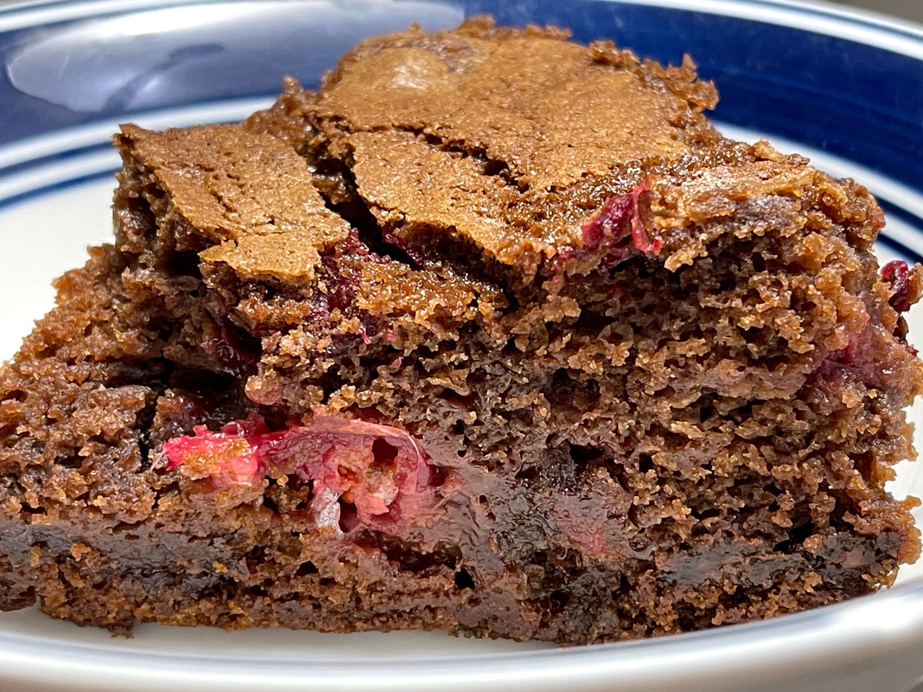 cranberry chocolate cake