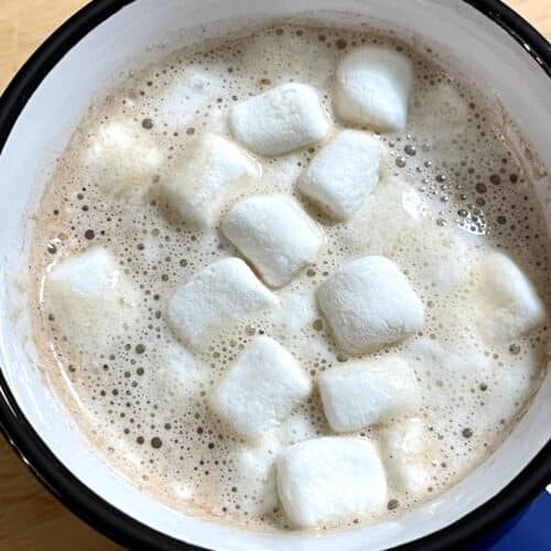 hot chocolate with cocoa powder