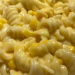 rotini mac and cheese