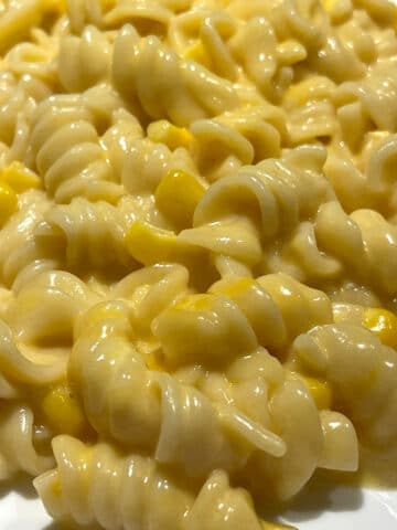 rotini mac and cheese