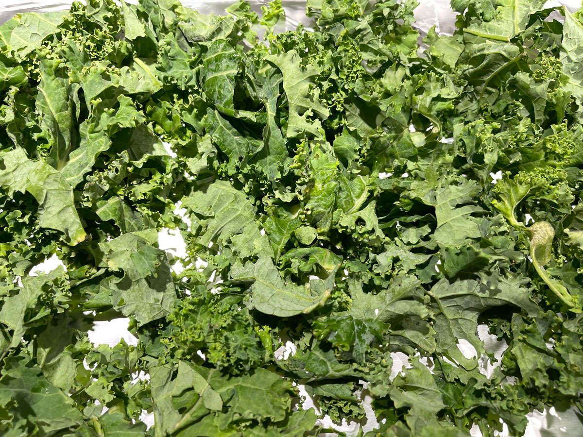 curly kale leaves