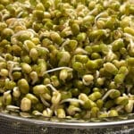 mung bean sprouts