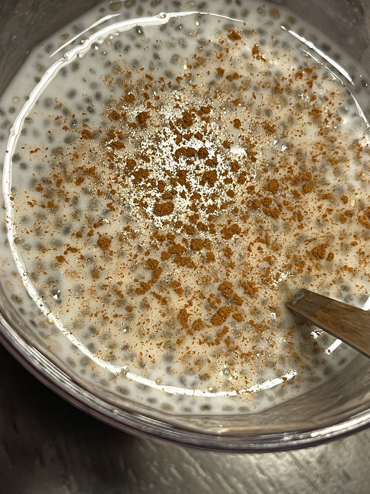 vanilla chia seed pudding with cinnamon